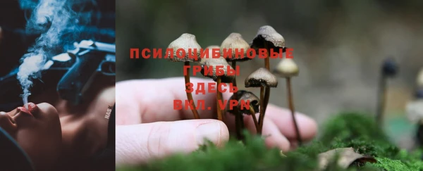 не бодяженный Карпинск