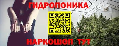 бошки Волгодонск