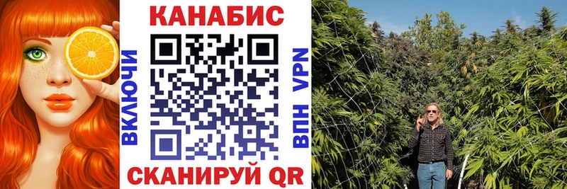 как найти закладки  Керчь  Шишки марихуана ГИДРОПОН 
